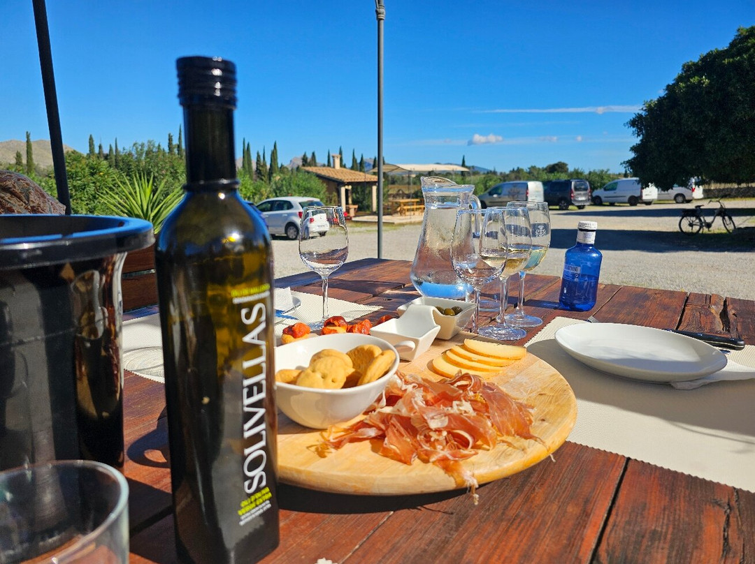 Bodegas Can Vidalet-Pollenca必去景点