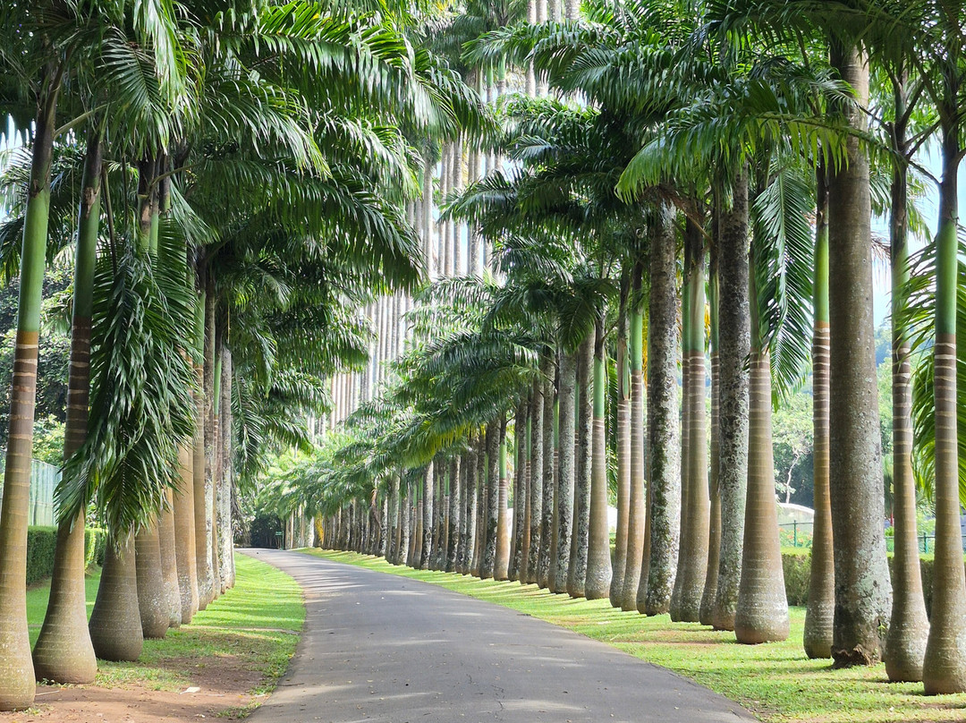 ASY Tours Sri Lanka-卡图纳耶克必去景点