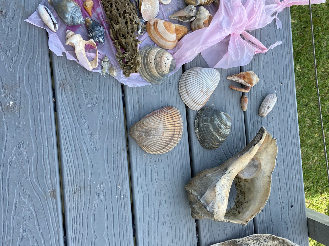 Journeys of St. George Island-St. George Island必去景点