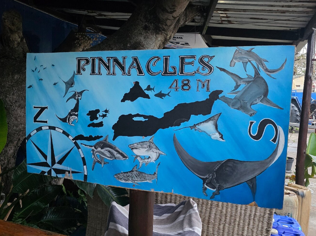 Gozo Azul Diving-Ponta do Ouro必去景点