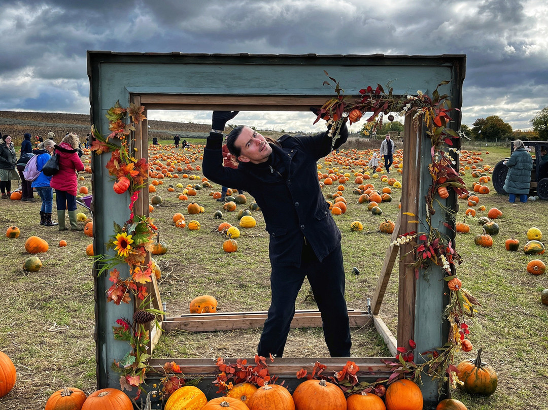 Hitchin Lavender-Ickleford必去景点