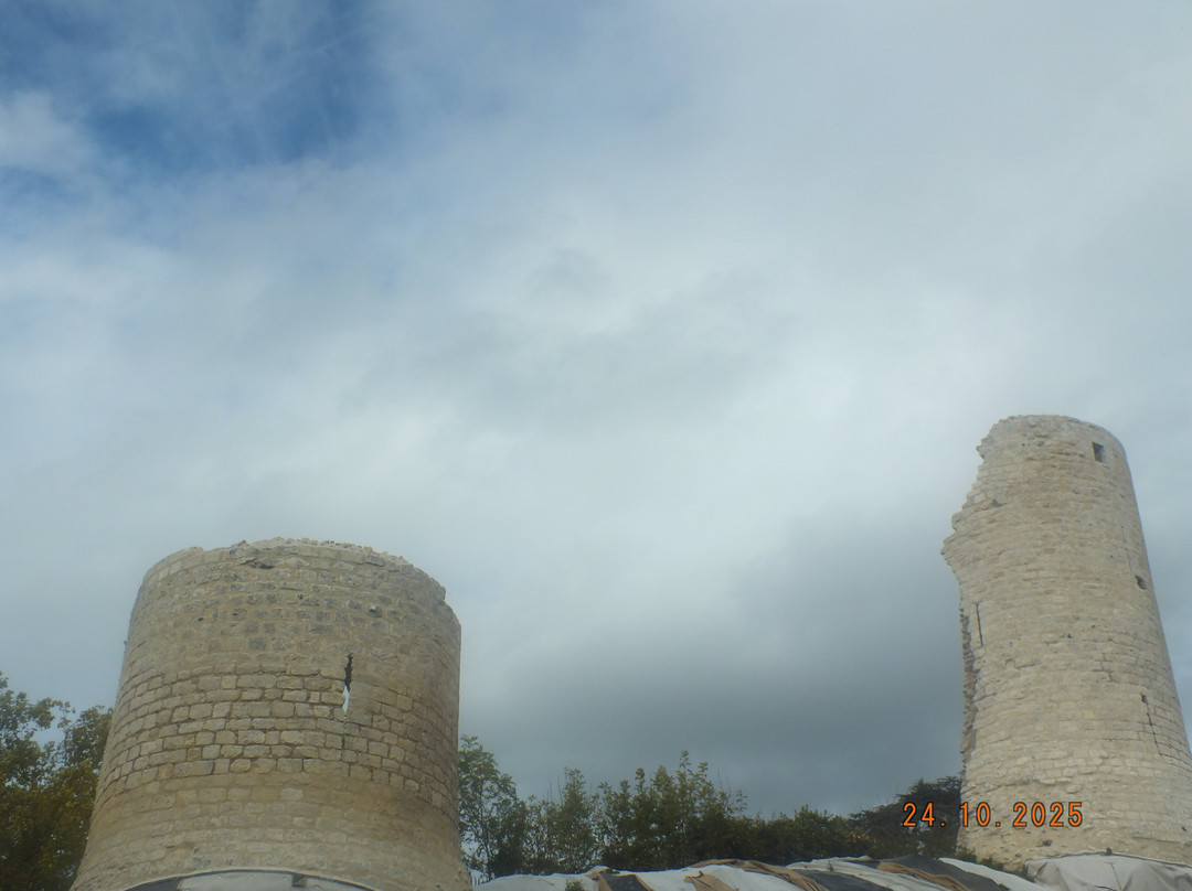 Château de Vendôme-旺多姆必去景点