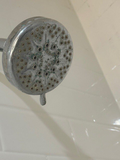 La Quinta Inn & Suites by Wyndham Kingsville主图