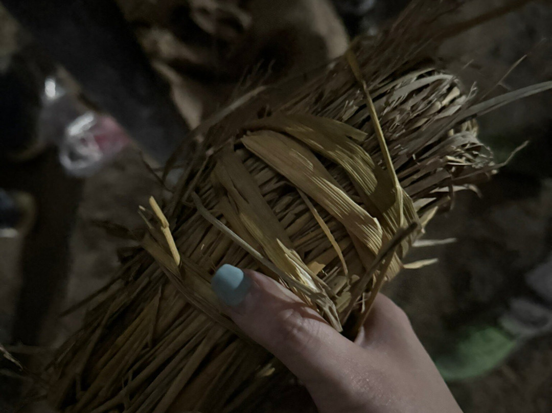 Wild Nabin Tour-奇旺国家公国必去景点