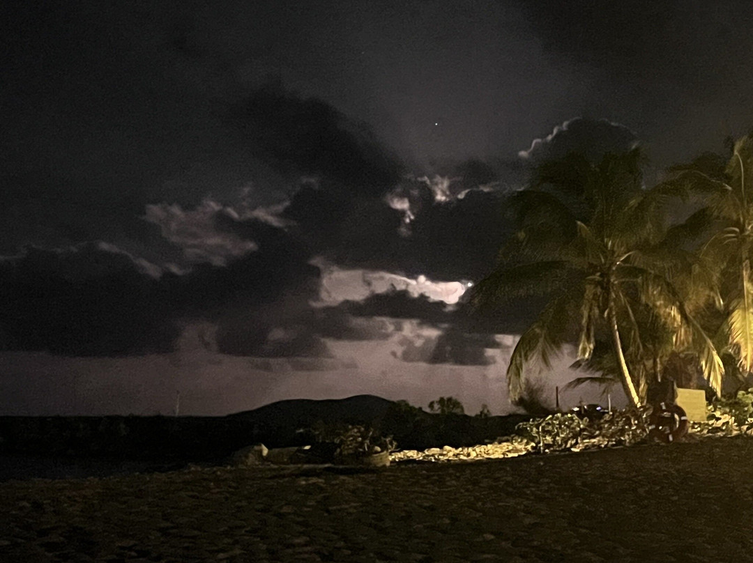 Tamarind Reef Beach-Christiansted必去景点