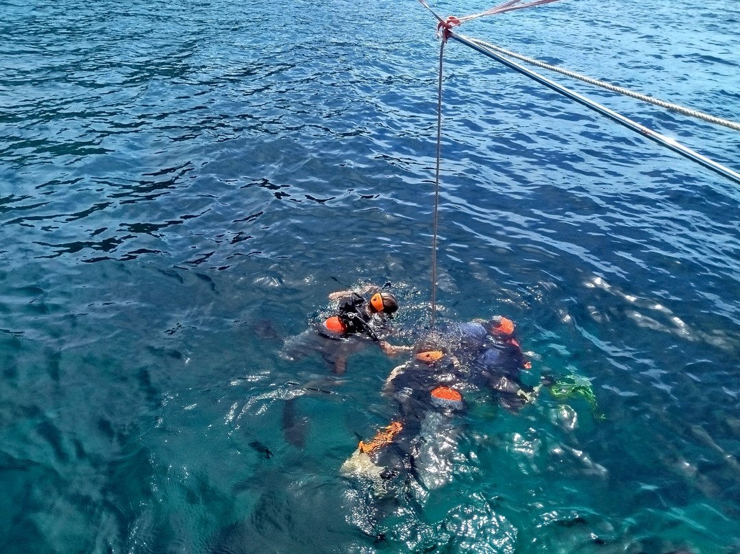 BB潜水服务-Bang Bao必去景点