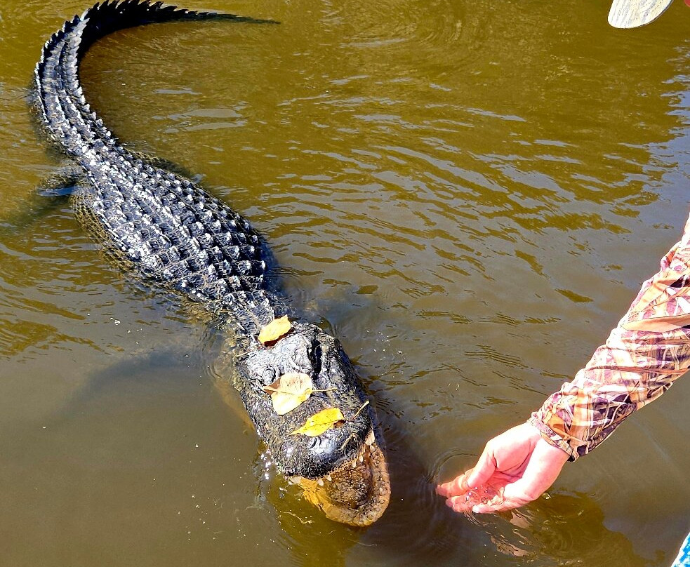 Louisiana Tour Company-Marrero必去景点