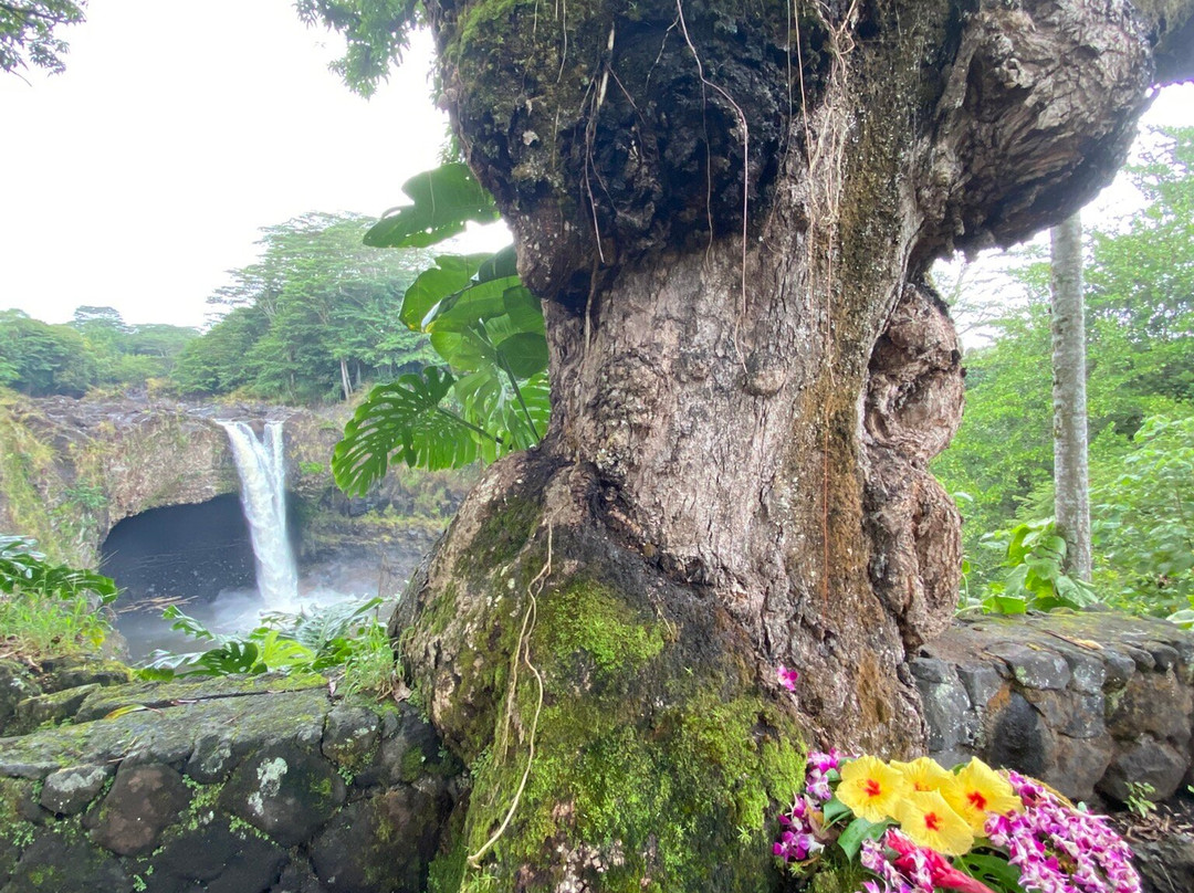 彩虹瀑布-希洛必去景点