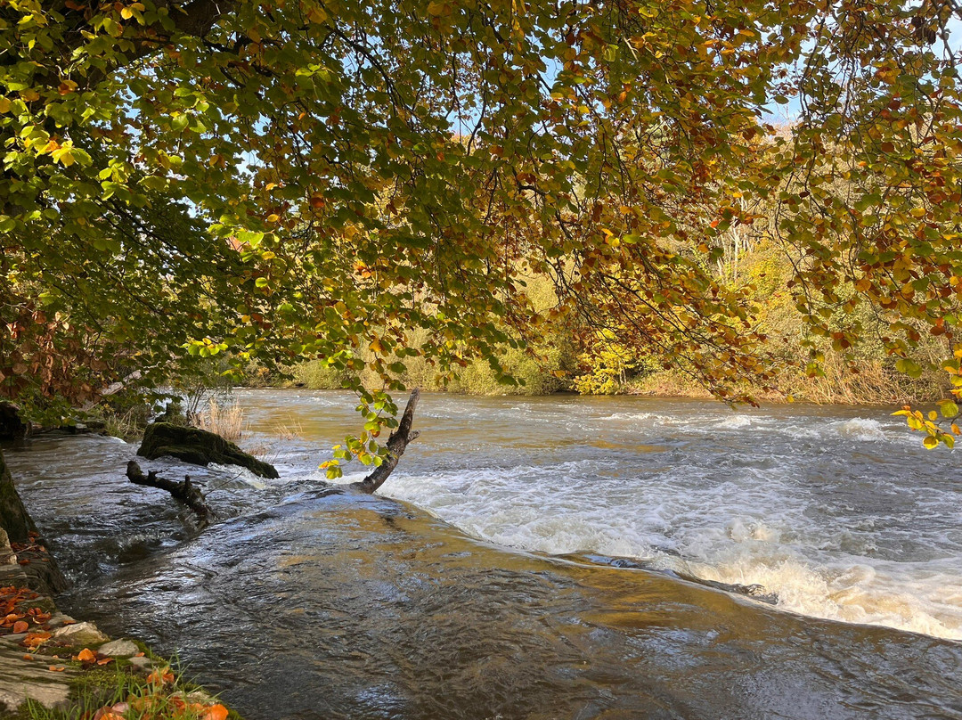 Newcastle Emlyn Castle-Newcastle Emlyn必去景点