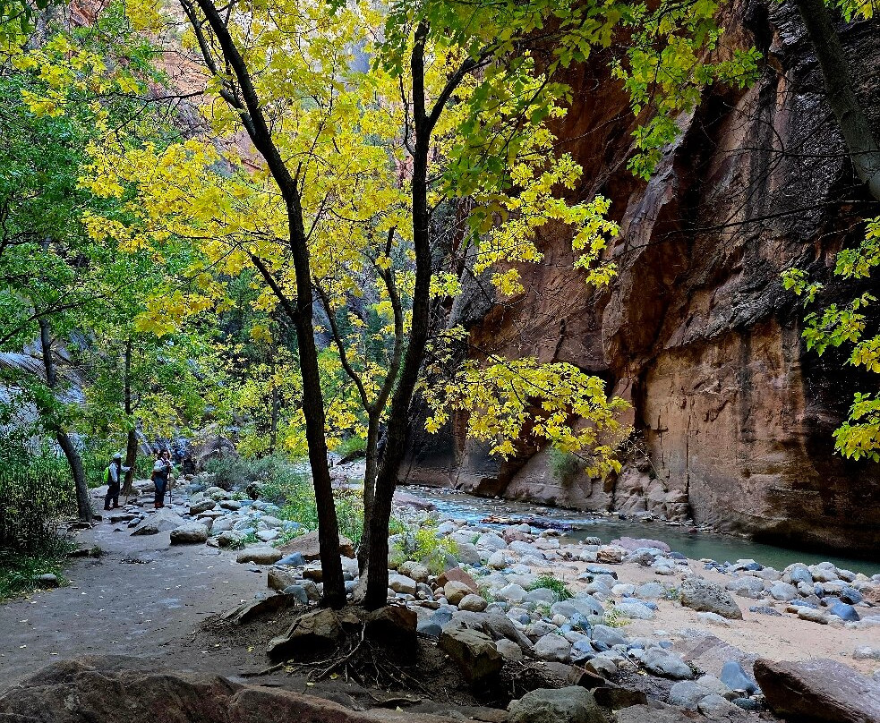 Zion Guru-斯普林代尔必去景点