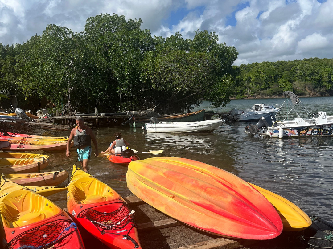 Les Kayaks des Ilets du Francois-Le Francois必去景点