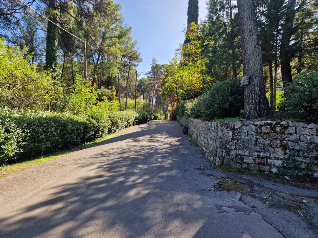 Agios Georgios Park-Tripoli必去景点