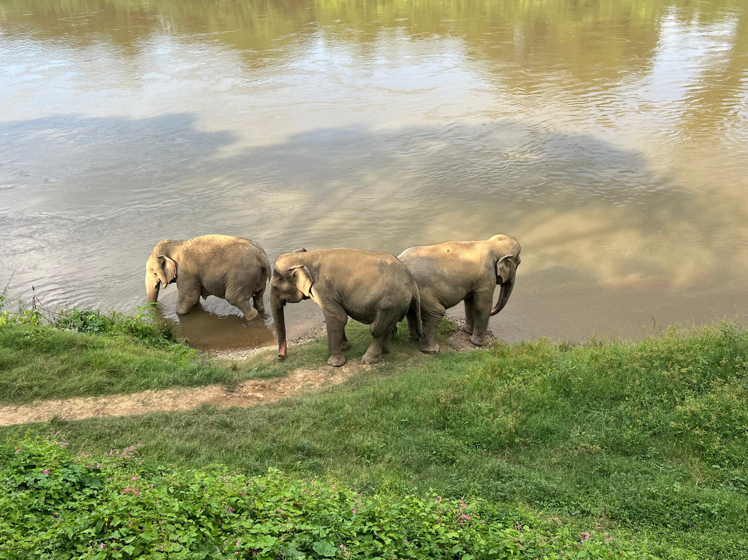 Somboon Legacy Foundation-Klon Do必去景点