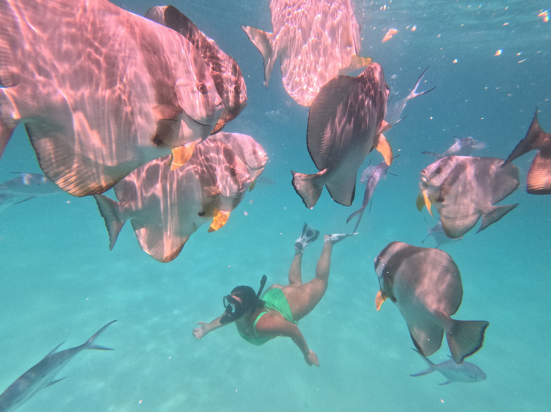 Aloha Ventures - Seychelles-贝隆布尔必去景点