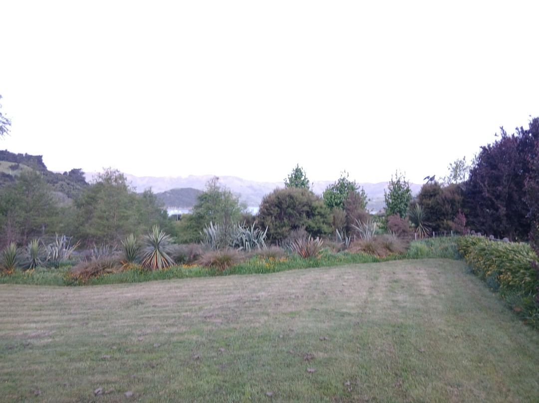 French Peak Vineyard-阿卡罗阿必去景点