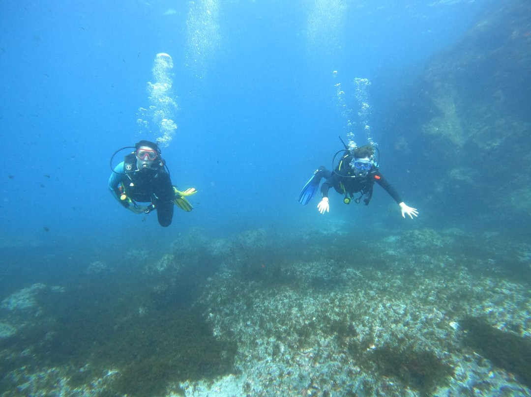 Diversion-阿尔卡拉必去景点