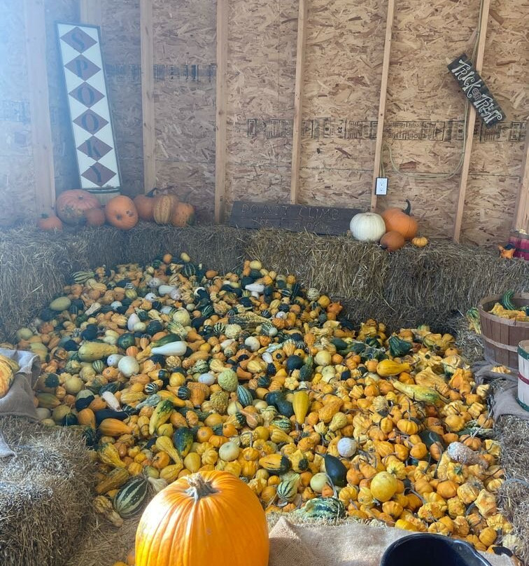 Lincoln Gardens-Lumsden必去景点