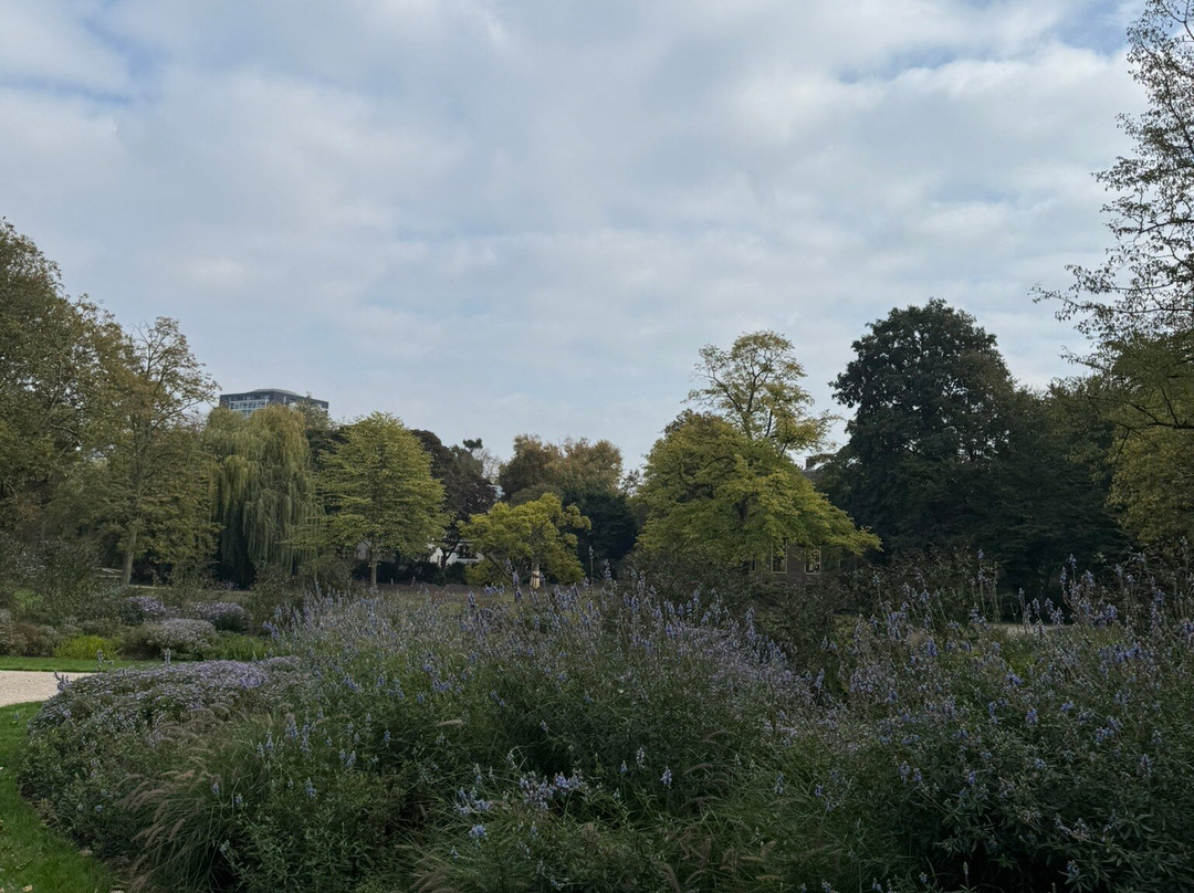 Het Park-鹿特丹必去景点