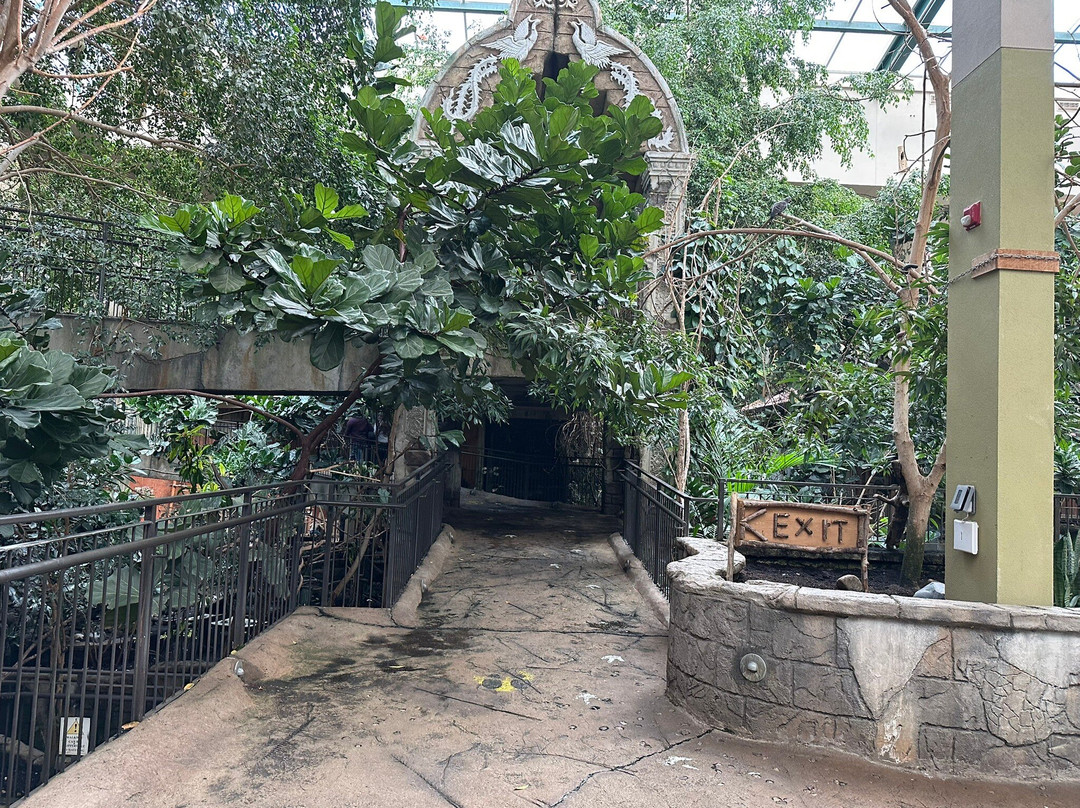 尼亚加拉公园蝴蝶馆-尼亚加拉大瀑布必去景点