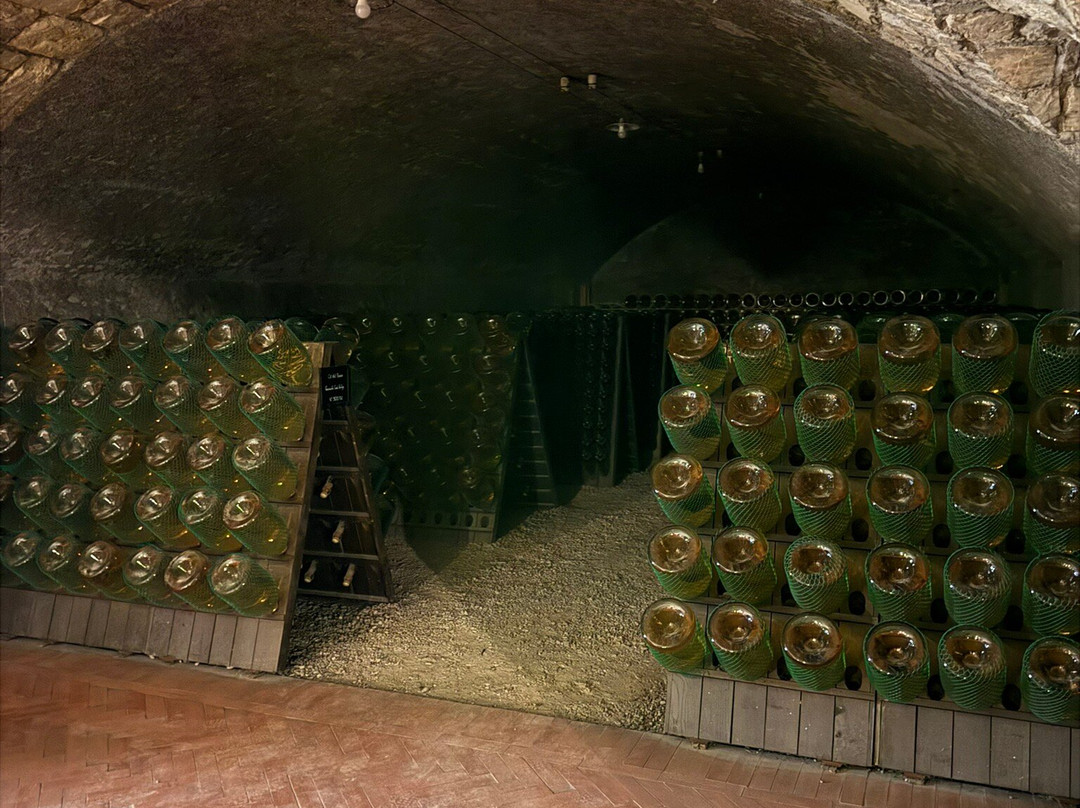 Ca' del Bosco-Erbusco必去景点