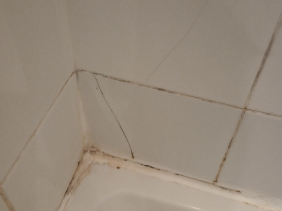 珊顿别墅酒店主图