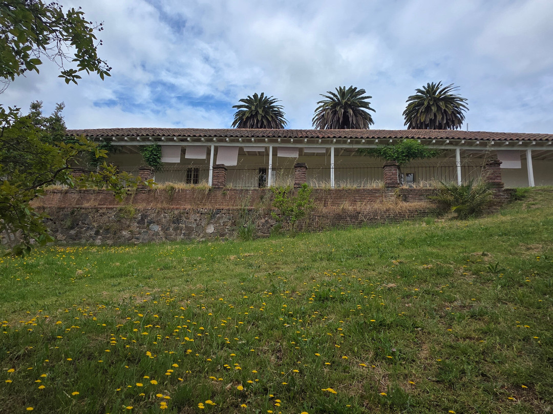 Vina Maquis-Palmilla必去景点