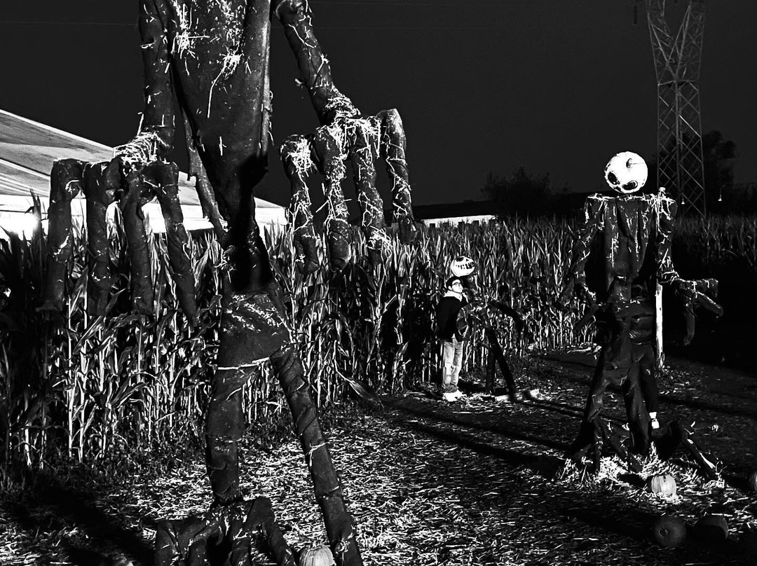 Nonno Andrea-维洛尔巴必去景点