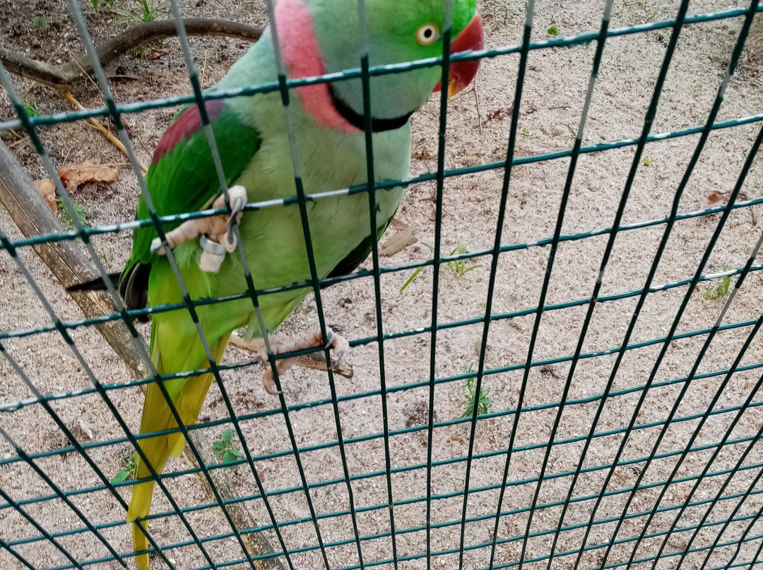 Zoo da Maia-Maia必去景点