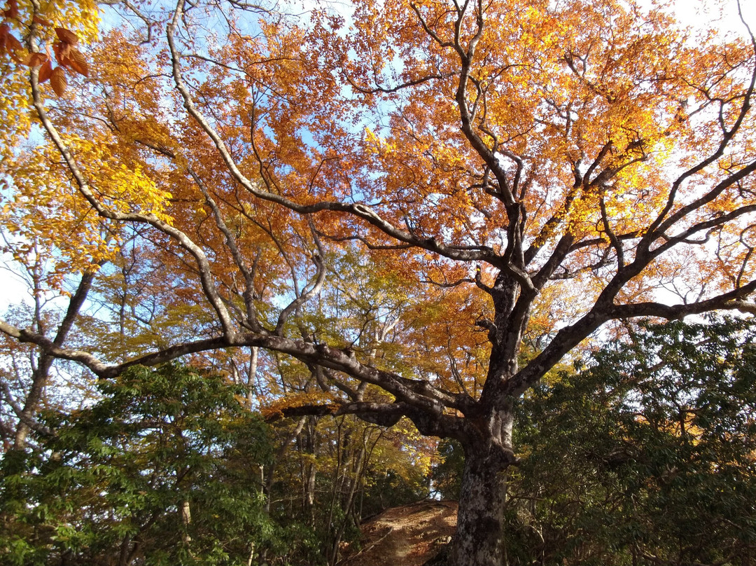 Shoulder of Mt. Omochi-横濑町必去景点