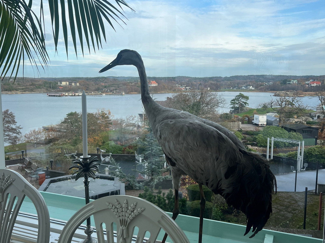 Säröhus Hotell, Konferens & SPA主图