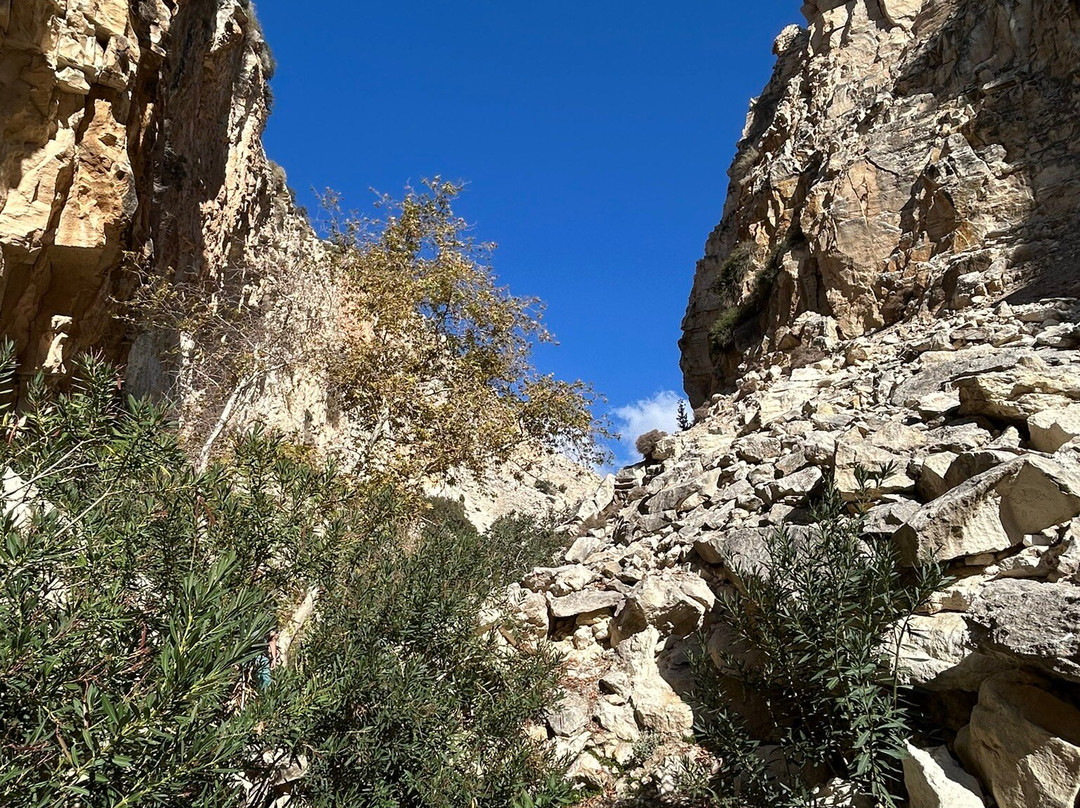 Avakas Gorge-帕福斯必去景点