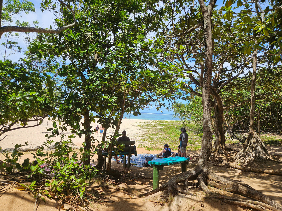 Ecotrax Fiji-辛加东卡必去景点