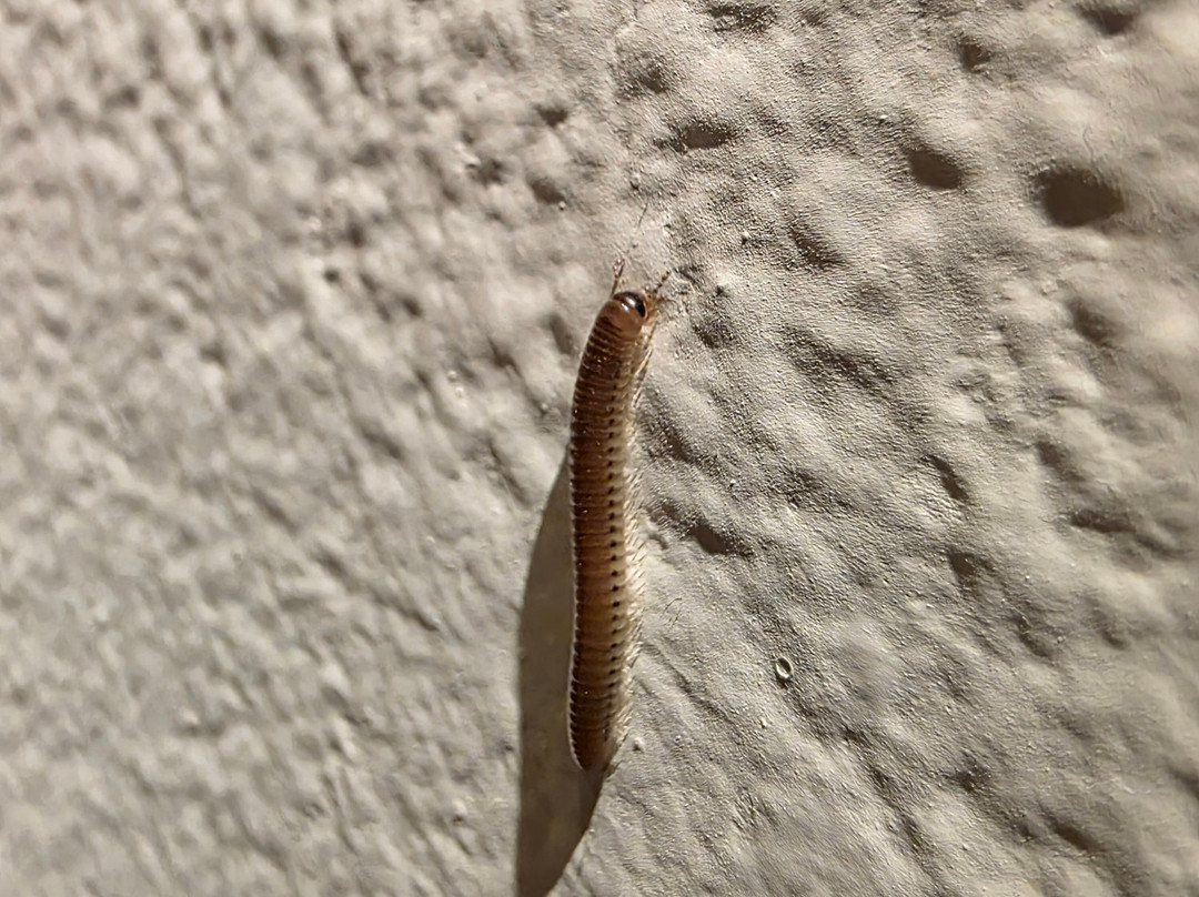 The Noverian Scenic Crete 5* Hilltop Villa Resort & Spa主图