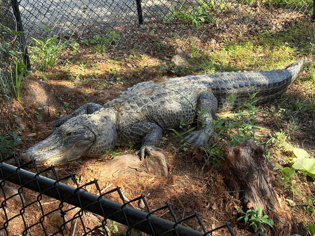 Cyprus Gardens-蒙克斯科纳必去景点