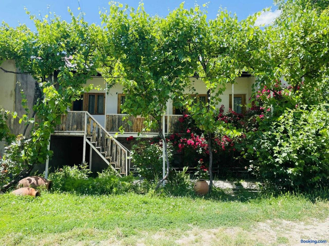 Akhalkalaki酒店住宿-Guest House Aleksandre
