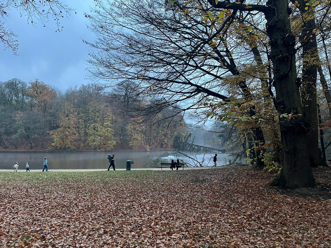 Parc Tournay Solvay-Watermael-Boitsfort必去景点