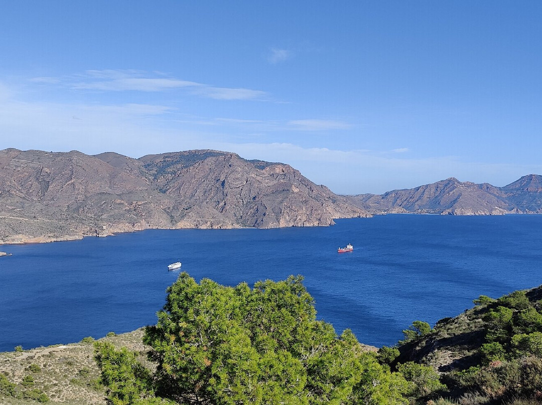 OriMar Bikes-穆尔西亚必去景点