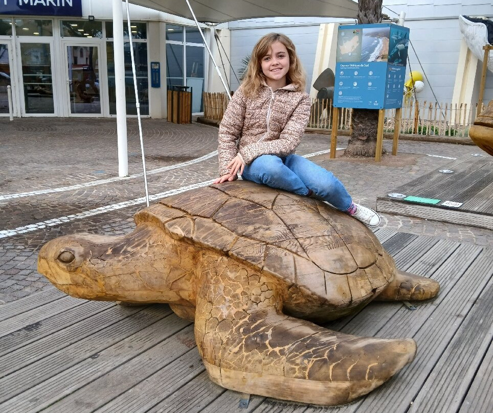 Seaquarium Institut Marin-勒格罗迪鲁瓦必去景点