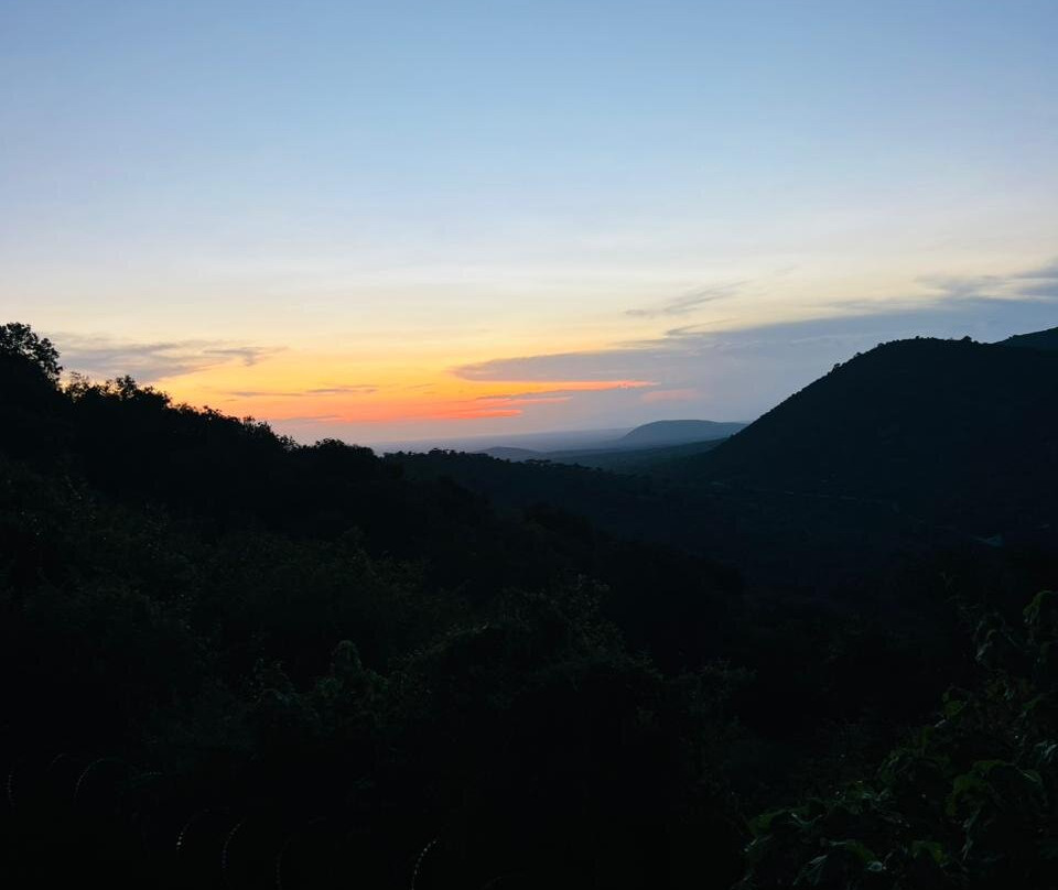 Lerruat Log Resort主图