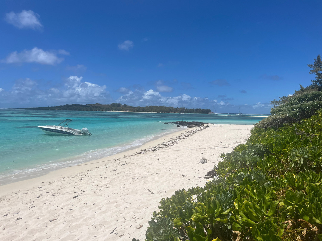 One Drop Excursions-格兰高伯必去景点