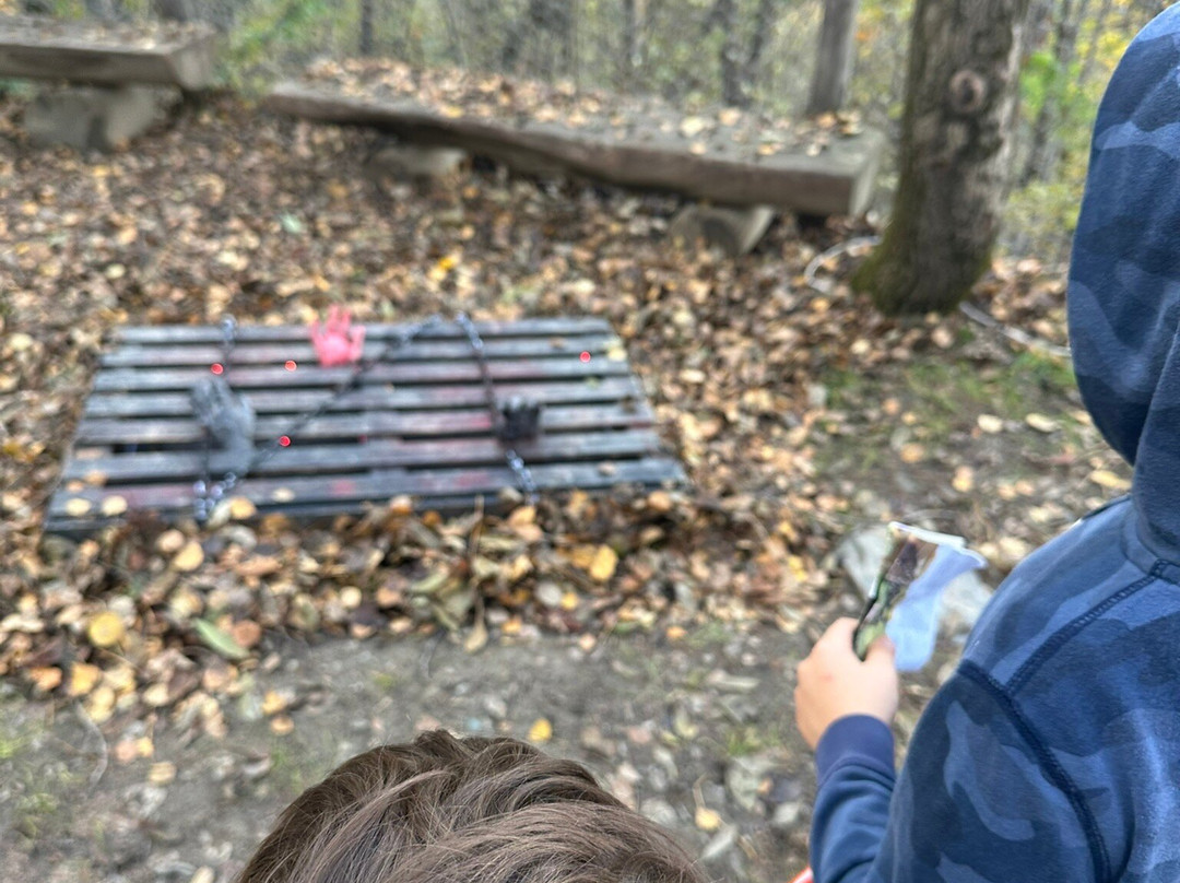 Parc Animalier d'Introd-Introd必去景点