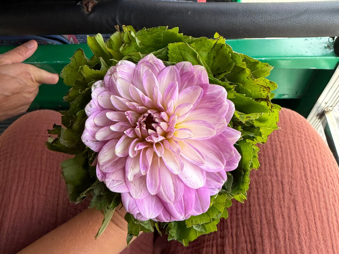 Rk tours (travel with ragu) nanuoya-Nanu Oya必去景点