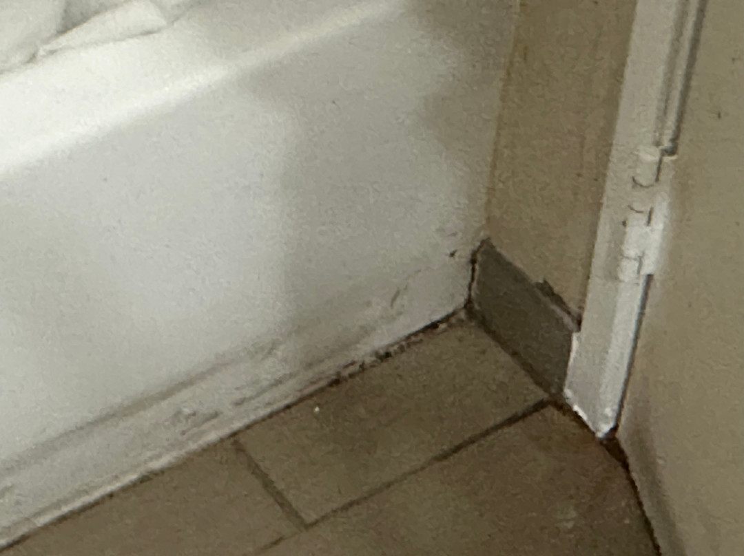 Waverly酒店住宿-Comfort Suites Brunswick