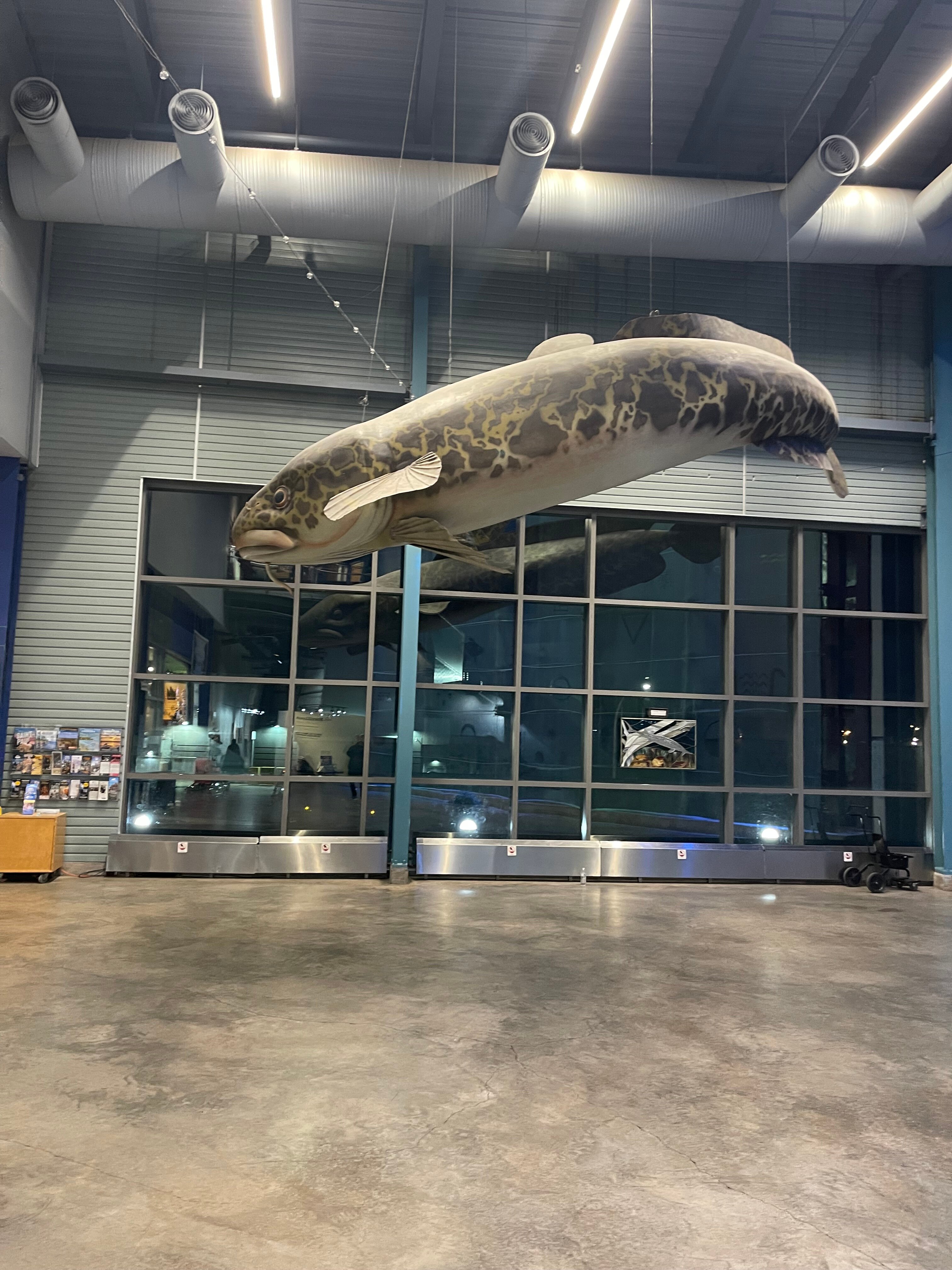 Cobblestone Hotel & Suites – Superior/Duluth-官方