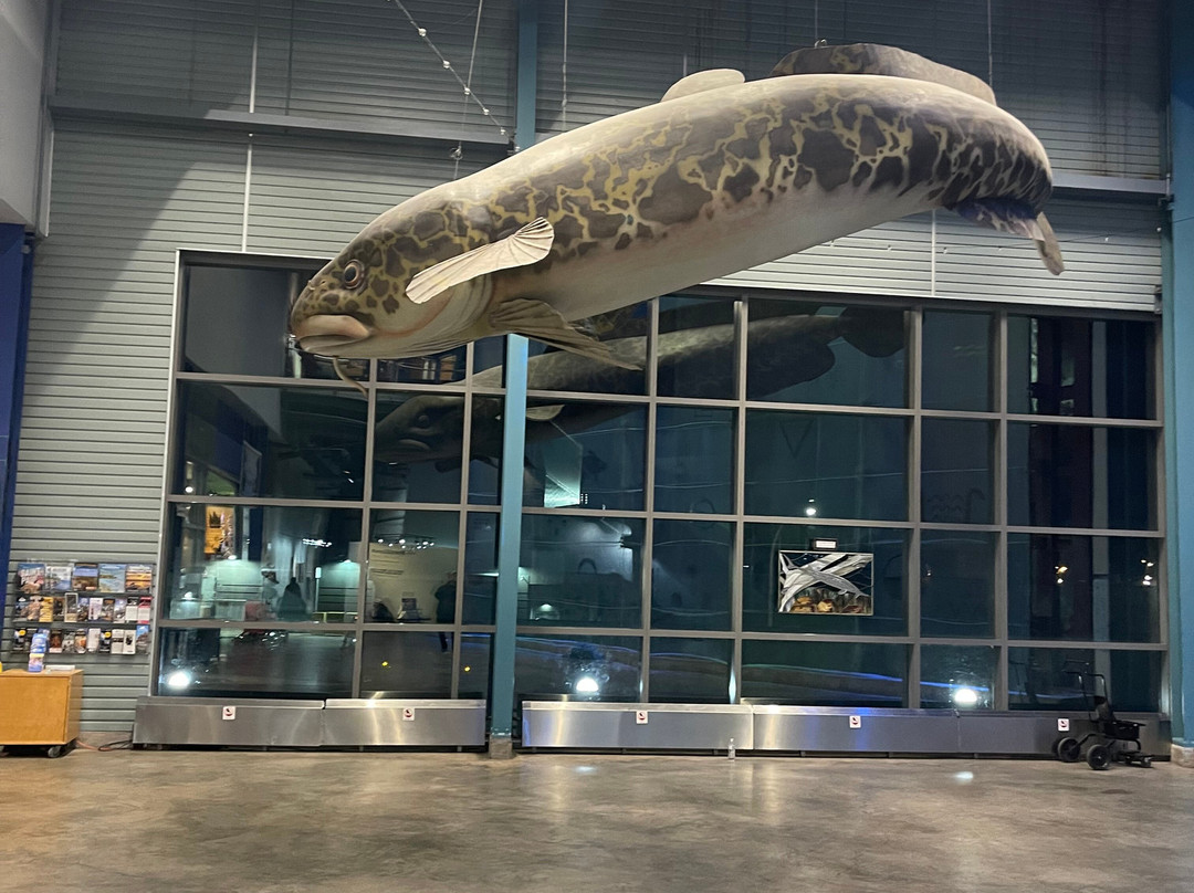 Cobblestone Hotel & Suites – Superior/Duluth主图