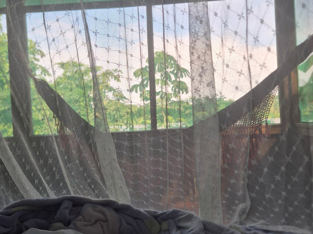 Pisatahua Plant Medicine-Riberalta必去景点