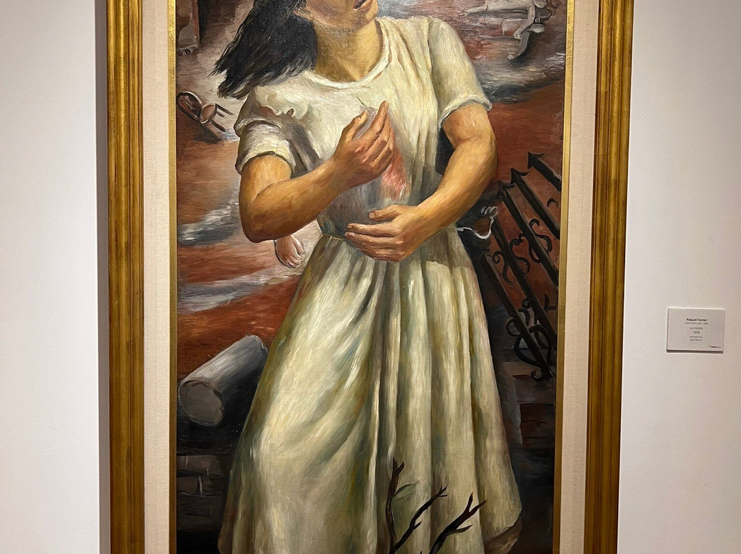 Museo Provincial de Bellas Artes Franklin Rawson-圣胡安省必去景点