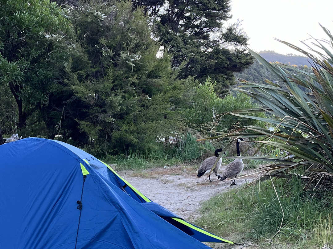 Abel Tasman Hire Company