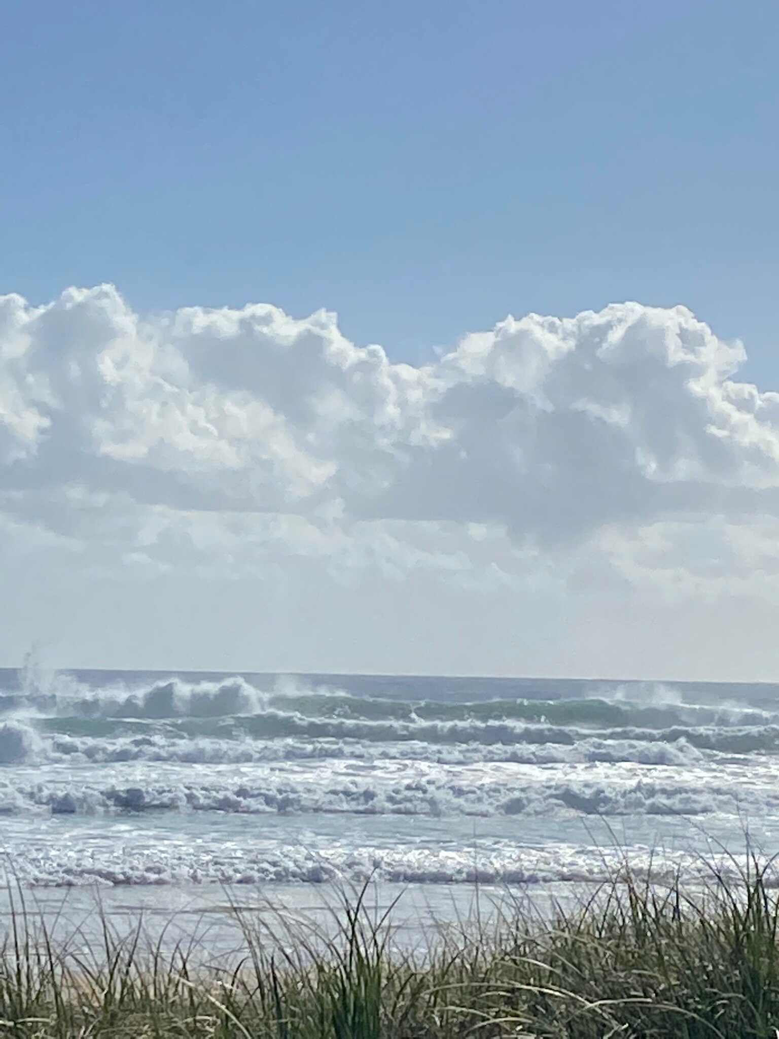 The Surf Yamba-官方