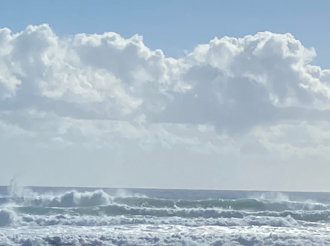 The Surf Yamba主图